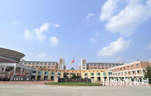 學(xué)院校園占地面積1000余畝，學(xué)院校本部地處成都南郊著名牧馬山風(fēng)景旅游區(qū)，校本部占地面積516畝，建筑面積12.05萬平方米，距市區(qū)30分鐘車程。新校區(qū)位于眉山市青神縣。校園風(fēng)光秀麗，各種生活設(shè)施齊備，建有游泳池、校園網(wǎng)、校園商業(yè)區(qū)和高標(biāo)準(zhǔn)橡膠運(yùn)動場。學(xué)院在校學(xué)生近8000人。  學(xué)院面向文化創(chuàng)意產(chǎn)業(yè)和城市化建設(shè)，秉持“礪志尚美，躬行日新”的校訓(xùn)，為社會培養(yǎng)藝術(shù)類為主的高素質(zhì)人才上萬名，被譽(yù)為西部地區(qū)應(yīng)用型設(shè)計(jì)師的搖籃。青神校區(qū)占地規(guī)劃為800畝，計(jì)劃3年之內(nèi)全部建成，容納在校學(xué)生6000人。校園建設(shè)除了具有藝術(shù)特色的教室、實(shí)訓(xùn)室、辦公大樓、學(xué)生公寓外，還將建設(shè)高標(biāo)準(zhǔn)的體育運(yùn)動場、體育館和現(xiàn)代化的演藝大廳等，除了“成藝”原有的設(shè)計(jì)、表演、建筑經(jīng)管專業(yè)外，新專業(yè)有國家非物質(zhì)文化遺產(chǎn)—青神竹編工藝，還將開設(shè)為當(dāng)?shù)厣鐣?jīng)濟(jì)發(fā)展所需要的機(jī)械制造等專業(yè)。預(yù)計(jì)2016年9月正式投入使用。
