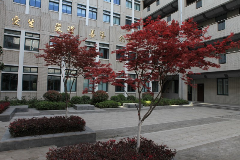 南京衛(wèi)生高等職業(yè)技術學校怎么樣、好不好