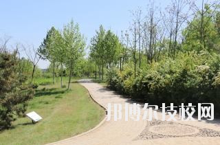 石家莊中英航空中等專業(yè)學(xué)校2020年報(bào)名條件、招生要求、招生對象