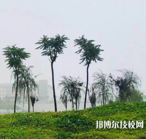甘肅財(cái)貿(mào)職業(yè)學(xué)院2020年學(xué)費(fèi)、收費(fèi)多少