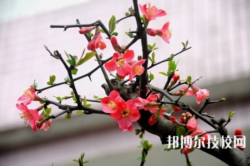 貴州廣播電影電視學(xué)校怎么樣、好不好
