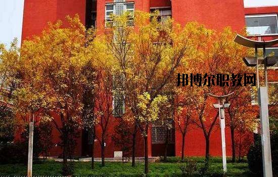 鶴峰職業(yè)技術(shù)學(xué)校2020年報(bào)名條件、招生要求、招生對象