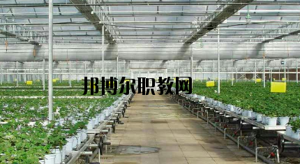 隴南農(nóng)業(yè)學校怎么樣、好不好