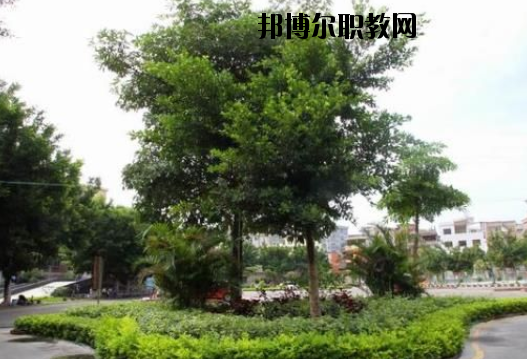 羅定中等職業(yè)技術(shù)學(xué)校2020年報名條件、招生要求、招生對象