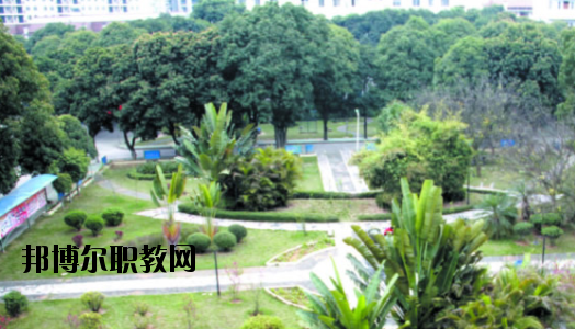 廣西百色農(nóng)業(yè)學(xué)校2020年報(bào)名條件、招生要求、招生對象 