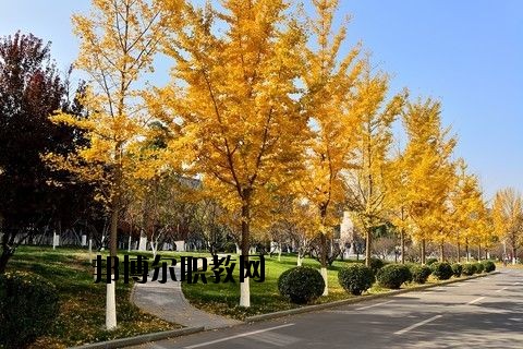 蘄春李時(shí)珍中等專(zhuān)業(yè)學(xué)校怎么樣、好不好