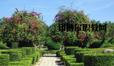 甘南畜牧學校怎么樣、好不好
