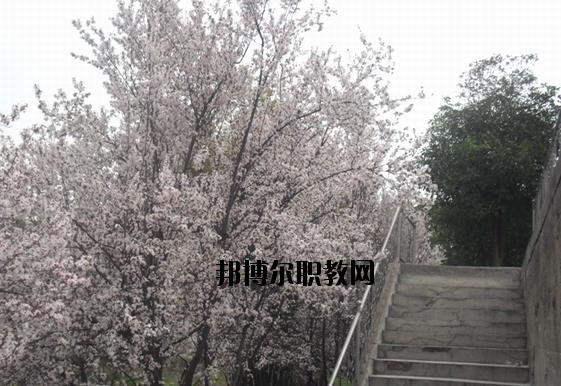 ?？德毥讨行膶W校網(wǎng)址網(wǎng)站