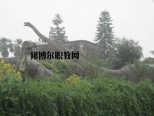 自貢三星職業(yè)技術學校2020年報名條件、招生要求、招生對象
