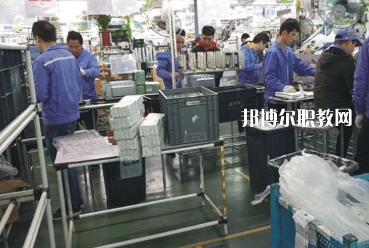 遂溪縣職業(yè)技術(shù)學(xué)校2020年報(bào)名條件、招生要求、招生對(duì)象