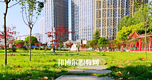 合肥飛躍學(xué)校2020年報(bào)名條件、招生要求、招生對(duì)象 