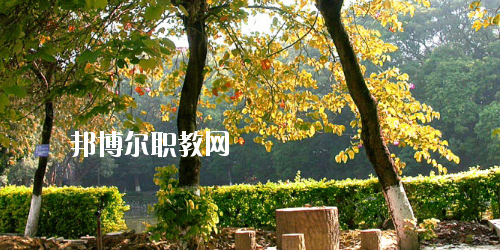 廣西民族中等專業(yè)學(xué)校怎么樣、好不好