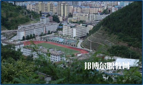 廣元朝天職業(yè)中學(xué)2020年報名條件、招生要求、招生對象