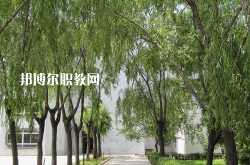 新疆喀什地區(qū)衛(wèi)生學(xué)校2021年報名條件、招生要求、招生對象