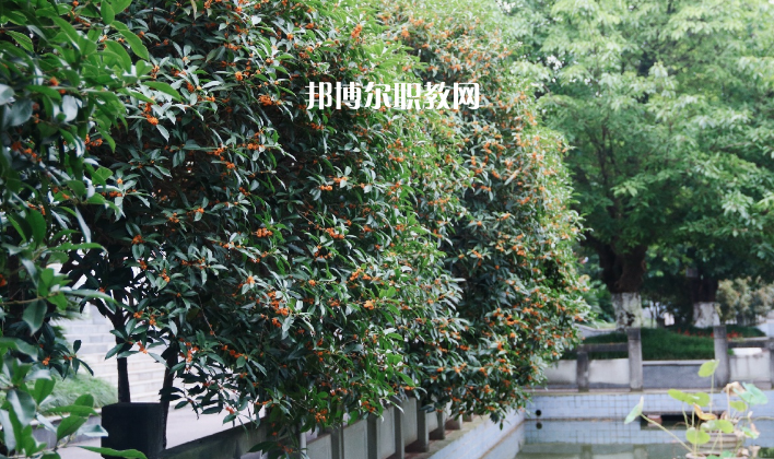 德陽通用電子科技學校怎么樣、好不好