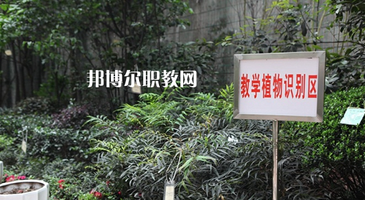 重慶風(fēng)景園林技工學(xué)校2022年學(xué)費(fèi)、收費(fèi)多少
