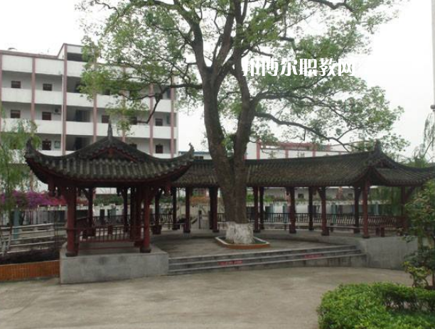 四川合江先市職業(yè)高級中學(xué)校怎么樣、好不好