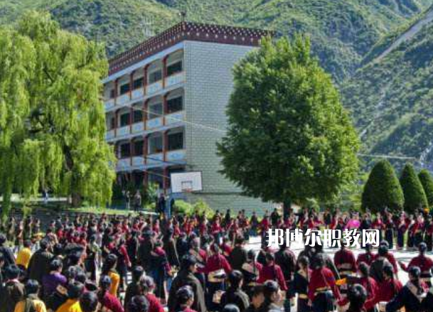 四川省藏文學(xué)校2022年報名條件、招生要求、招生對象
