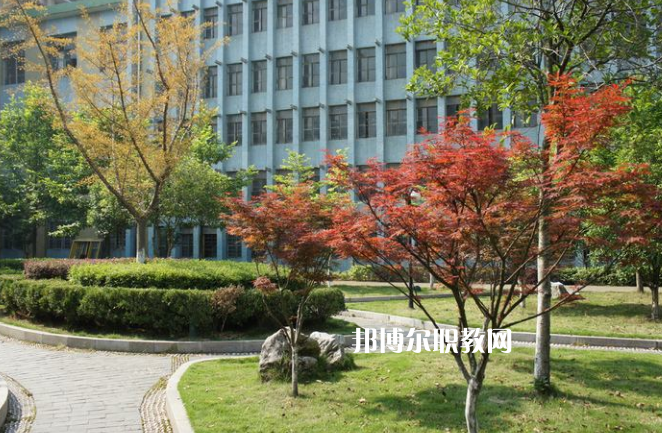 廉江市衛(wèi)生職業(yè)技術(shù)學校怎么樣、好不好