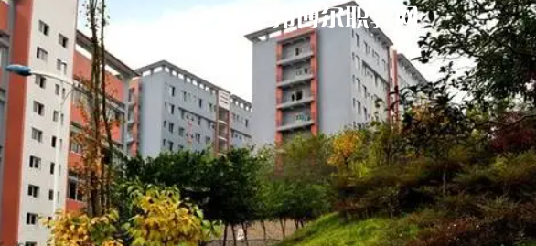 四川市綿竹職業(yè)中專學(xué)校2022年報(bào)名條件、招生要求、招生對(duì)象