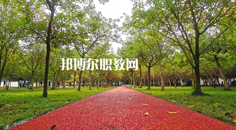2023年四川國盛技工學(xué)校醫(yī)護救援部學(xué)費、收費多少