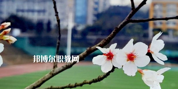 2023眉山技師學院招生計劃 招生人數(shù)是多少(附要求、條件、對象)