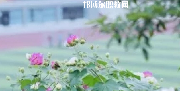 眉山技師學(xué)院地址在哪里，哪個(gè)地區(qū)，哪個(gè)城市?