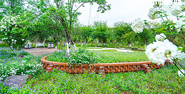 重慶望江技工學(xué)校地址在哪里，哪個(gè)地區(qū)，哪個(gè)城市?