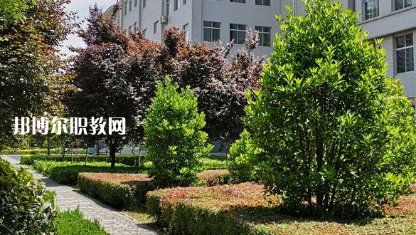 2023渭南技師學(xué)院招生計(jì)劃 招生人數(shù)是多少(附要求、條件、對(duì)象)