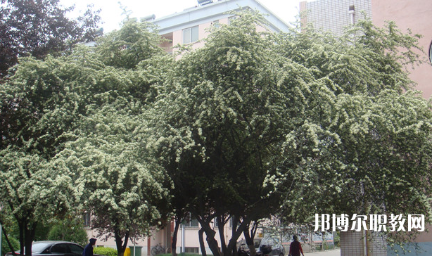 寶雞技師學(xué)院地址，乘車路線