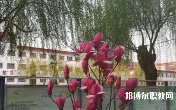2023柏鄉(xiāng)縣職教中心招生計劃 招生人數(shù)是多少(附要求、條件、對象)