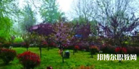 2023隆堯縣職業(yè)技術(shù)教育中心招生計(jì)劃 招生人數(shù)是多少(附要求、條件、對象)