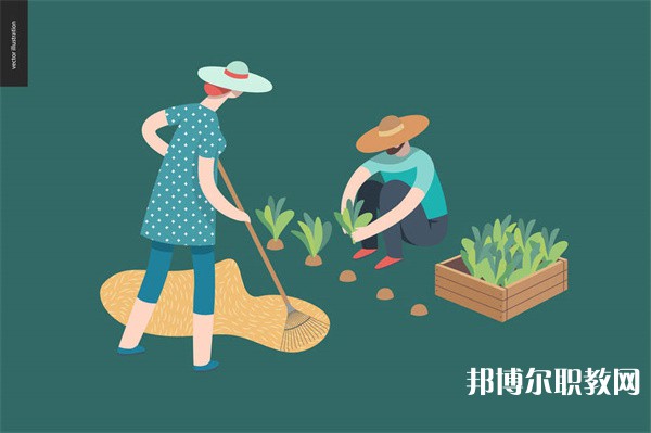 湖北哪里的中專學校能讀現(xiàn)代農(nóng)藝技術專業(yè)