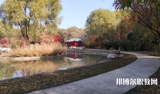 2024沈陽職業(yè)技術(shù)學(xué)院附屬中等專業(yè)學(xué)校招生計(jì)劃 招生人數(shù)是多少(附要求、條件、對象)