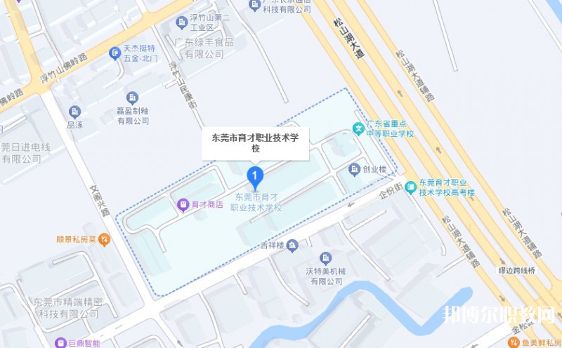 東莞市育才職業(yè)技術(shù)學(xué)校地址，乘車路線