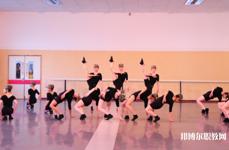2025遼寧文化藝術學校招生計劃 招生人數是多少(附要求、條件、對象)