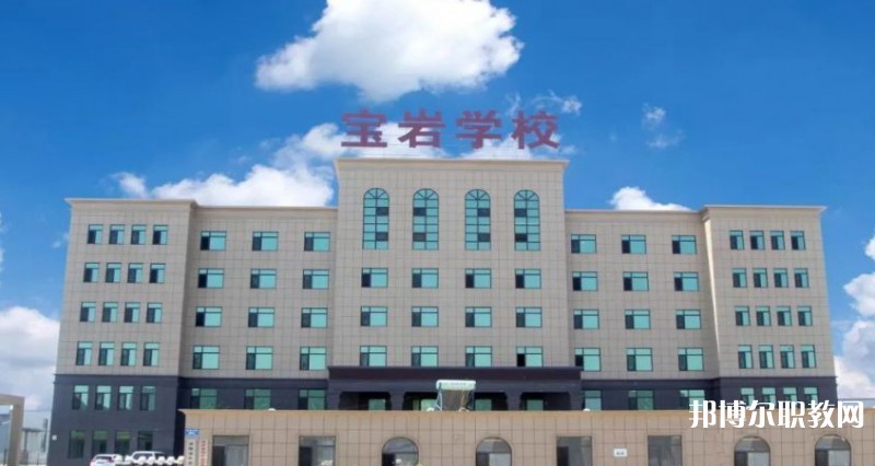 2025沈陽寶巖藝術(shù)學(xué)校招生計(jì)劃 招生人數(shù)是多少(附要求、條件、對象)