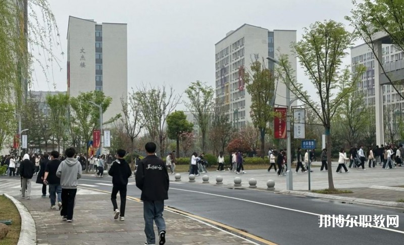 2025合肥技師學(xué)院招生計劃 招生人數(shù)是多少(附要求、條件、對象)